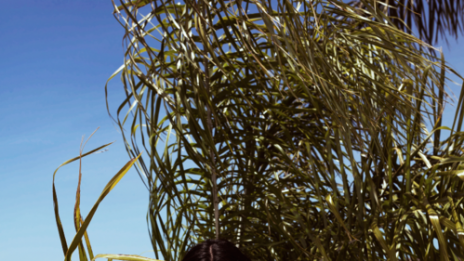 Банските костюми на Кендъл и Кайли Дженър