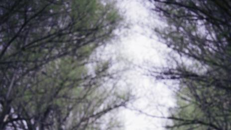 Как да си го върнете обратно