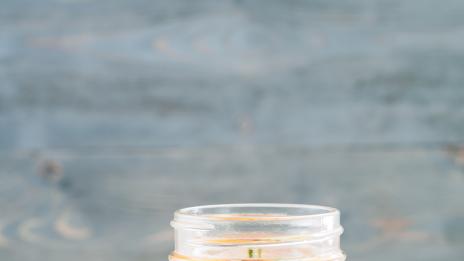 Кога тялото се нуждае от детокс?