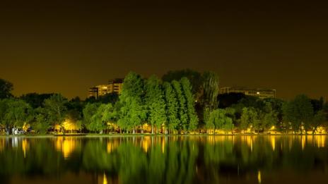 Животът е по-щастлив сред зеленина