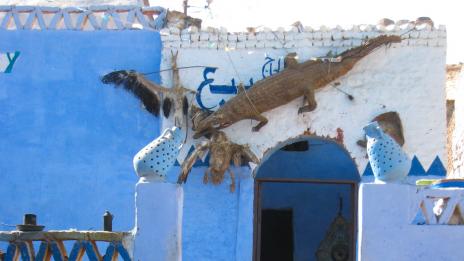 5-те страни с най-странни закона при развод