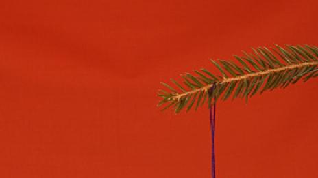 Българските обичаи за Коледа