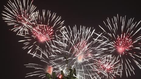 Годишният ви хороскоп за 2017-а