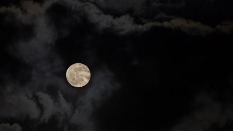 Доза мрак осигурява добро здраве