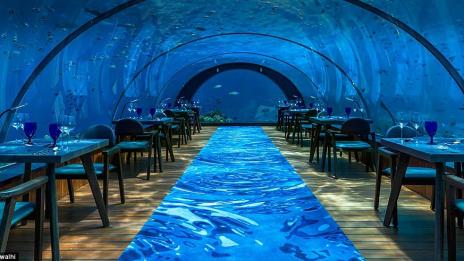 На Малдивите: Магнетичният подводен ресторант