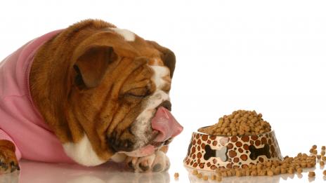 Кучешката храна убива домашния ви любимец