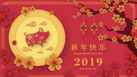 Годината на Жълтата Земна Свиня: Плъх