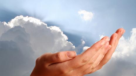 Зимни ласки за ръцете