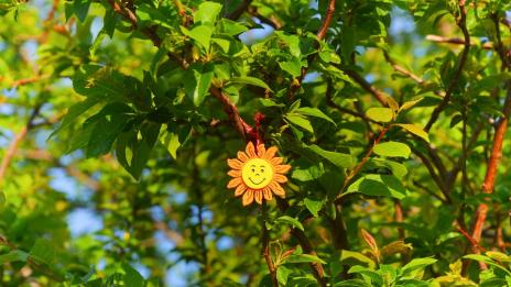 Месечният ви хороскоп за март