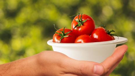 Помагат ли доматите да отслабнете?