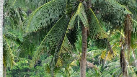 Интересни факти за Камбоджа (втора част)