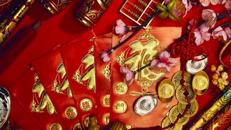 Годината на Жълтата Земна Свиня: Глиган (Свиня)