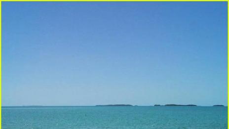 Тейлър и Калвин споделиха кадри от романтичната си почивка