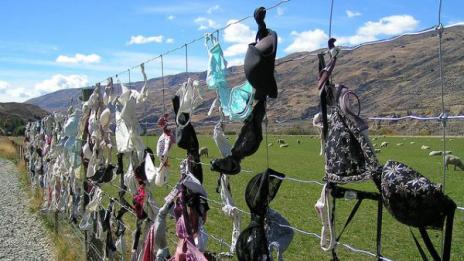 Ограда, нашарена със сутиени