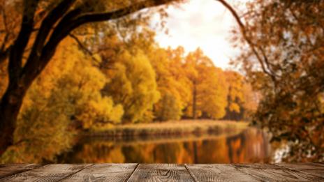 Седмичният ви хороскоп за 23-29 октомври
