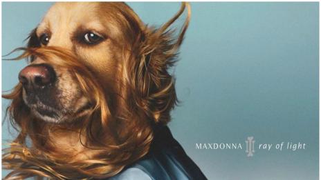 Фотограф създаде кучешки вариант на Мадона