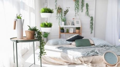 Цветя в дома – къде и как да ги поставите?