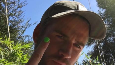 Сватбени войни: Лиъм искал парите на Майли!