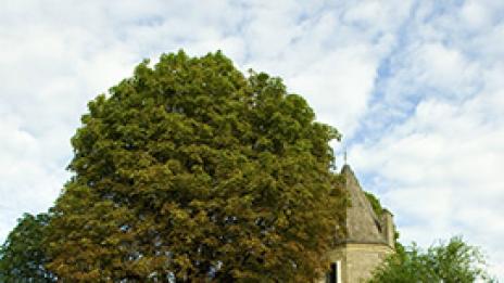 Едно забравено място...