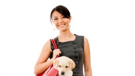 Доверете се на кучето  при избора на мъж