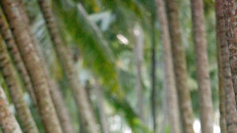 Защо изборът на работа вместо пътуване е загуба на време