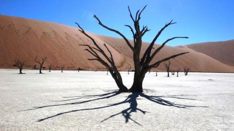 Магията на Намибия