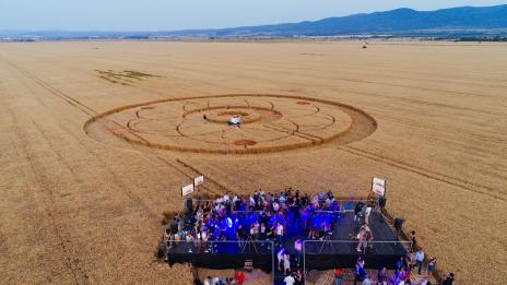 Кой стои зад житните кръгове, които се появиха до Равно поле?