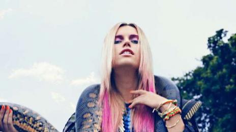 Добре дошли в джунглата!