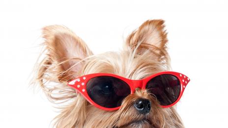 Най-абсурдните начини да забогатееш