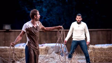 Върнаха Михо във „Фермата“, Стоян роптае