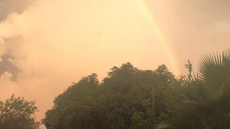 Достойни за завист: 20-те най-романтични звездни двойки