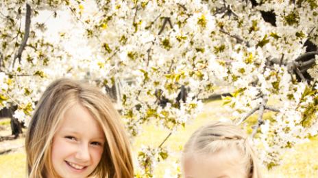 На какво трябва да научите дъщеря си за детското приятелство