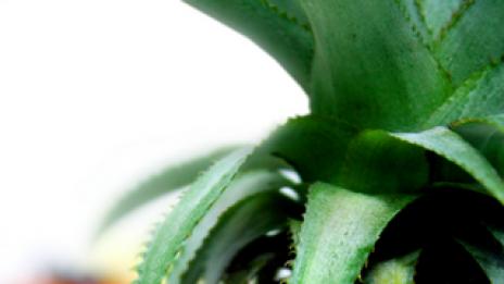 Цинк и витамини за сексуална мощ