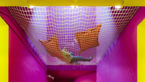 Цветна свежест в университетска атмосфера