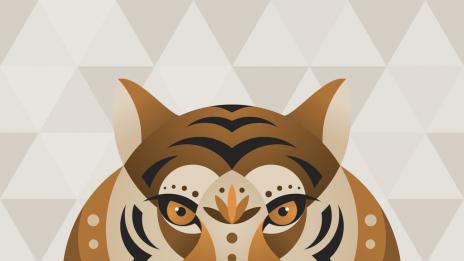 Годината на Жълтата Земна Свиня: Тигър