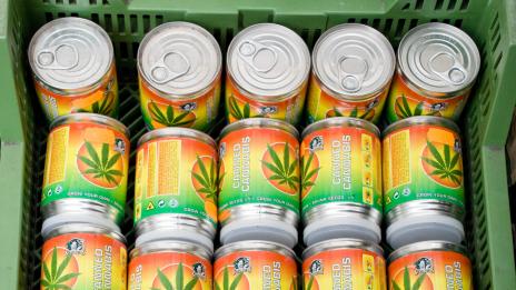 Кой от звездния елит подкрепя легализация на марихуаната