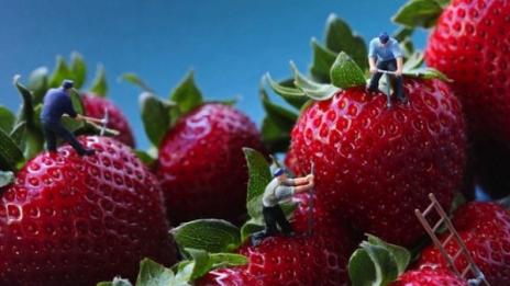 Голям апетит