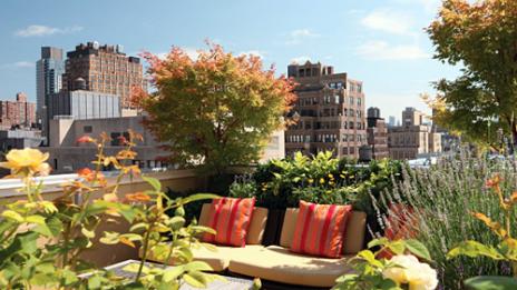 Зелена почивка. Над нещата