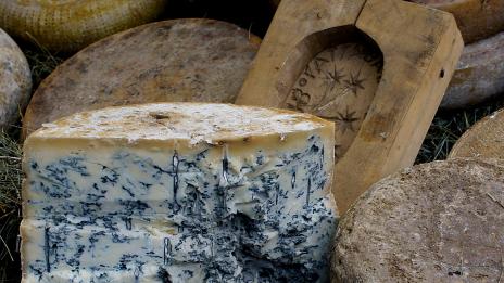 Яжте синьо сирене за дълголетие