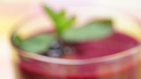 Вкусните напитки, които засилват имунитета