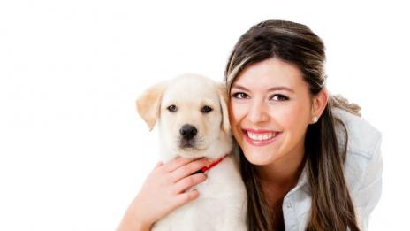 Куче под наем