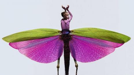 Хибрид между жена и насекомо