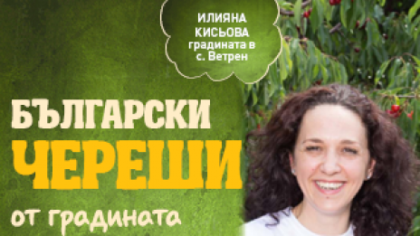 Черешите – червеното богатство