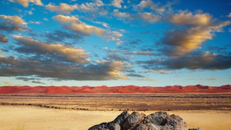 Сюрреализъм в пустинята на Намибия