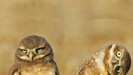 Направо ми лазиш по нервите! (първа част)