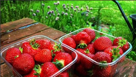 Кои храни ни поддържат млади и здрави?