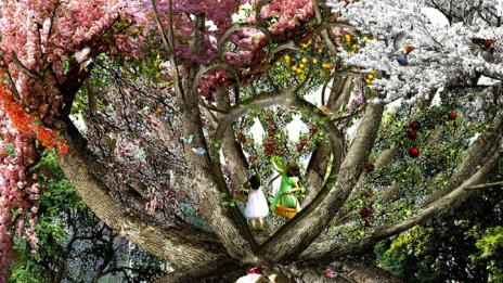 Проект "Търпеливият градинар"