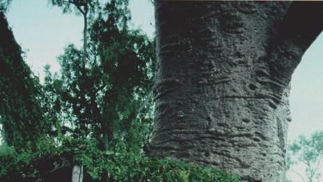 Защо не трябва да правите секс в гореща вана