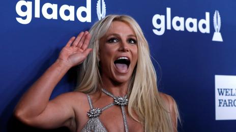 Бритни поиска от феновете малко уединение