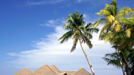 Горещите дестинации за студеното време  (част първа)